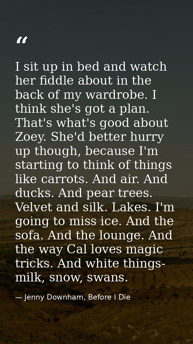 I sit up in bed and watch her fiddle about in the back of my wardrobe. I think she's got a plan. That's what's good abou — Jenny Downham, Before I Die