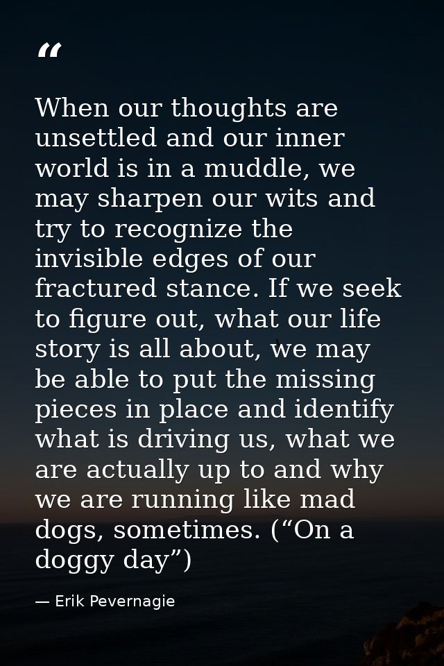 When our thoughts are unsettled and our inner world is in a muddle, we may sharpen our wits and try to recognize the inv — Erik Pevernagie