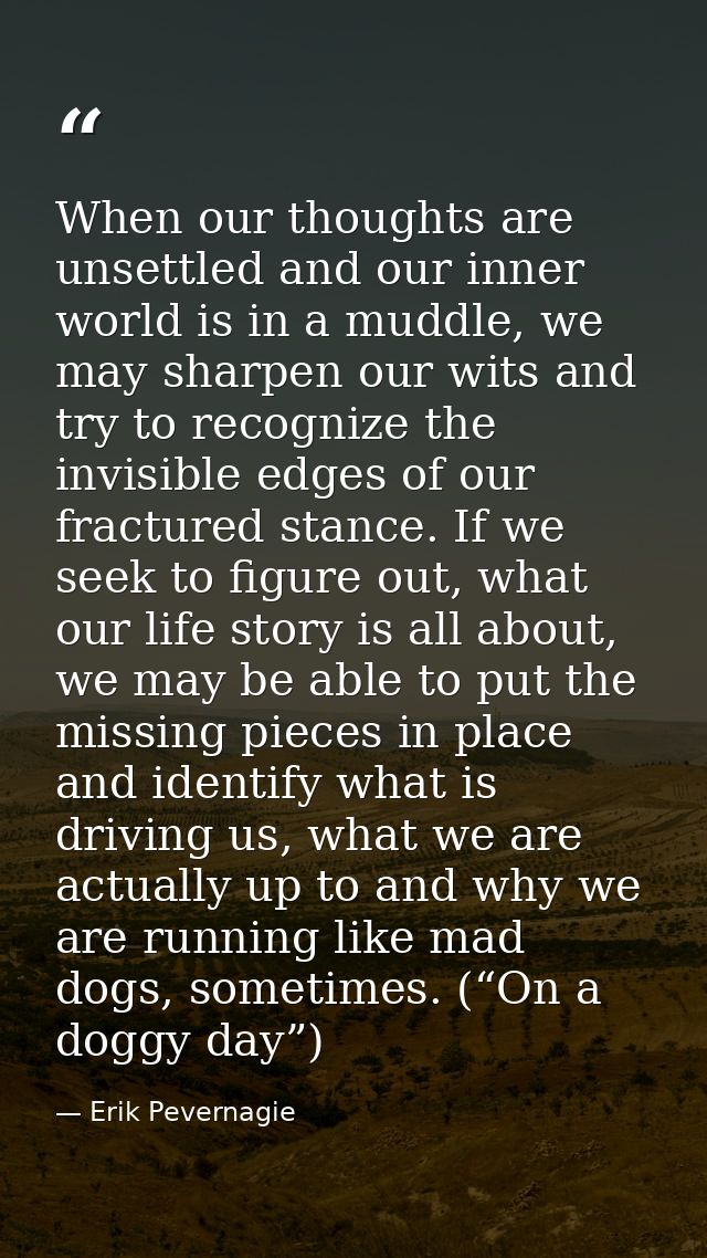 When our thoughts are unsettled and our inner world is in a muddle, we may sharpen our wits and try to recognize the inv — Erik Pevernagie