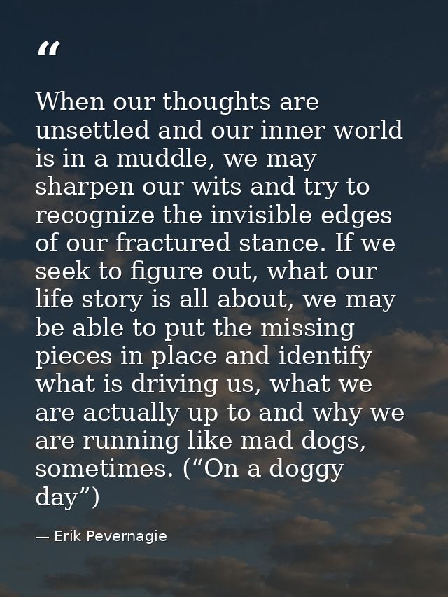 When our thoughts are unsettled and our inner world is in a muddle, we may sharpen our wits and try to recognize the inv — Erik Pevernagie