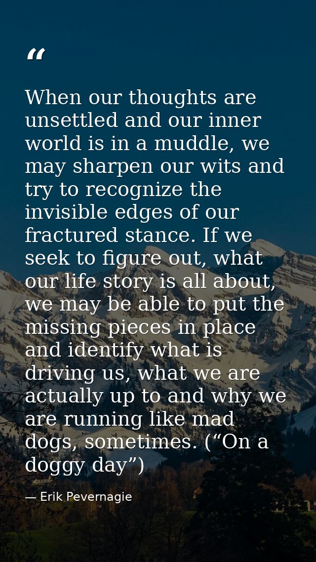 When our thoughts are unsettled and our inner world is in a muddle, we may sharpen our wits and try to recognize the inv — Erik Pevernagie