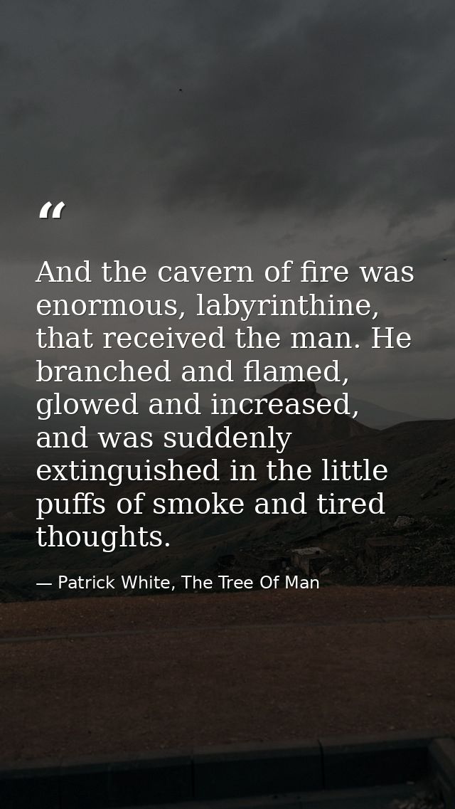 And the cavern of fire was enormous, labyrinthine, that received the man. He branched and flamed, glowed and increased,  — Patrick White, The Tree Of Man