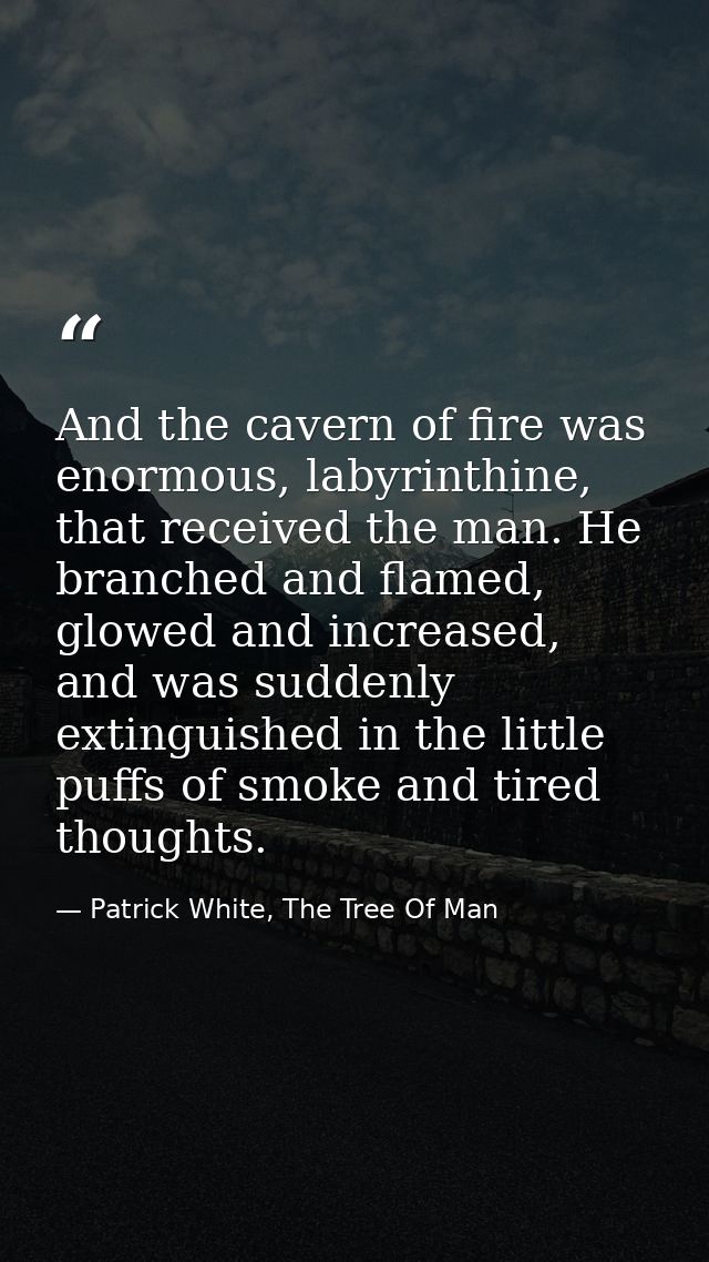 And the cavern of fire was enormous, labyrinthine, that received the man. He branched and flamed, glowed and increased,  — Patrick White, The Tree Of Man