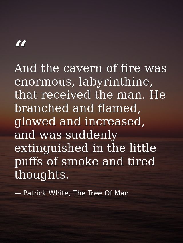And the cavern of fire was enormous, labyrinthine, that received the man. He branched and flamed, glowed and increased,  — Patrick White, The Tree Of Man