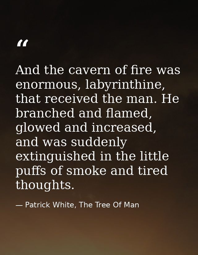 And the cavern of fire was enormous, labyrinthine, that received the man. He branched and flamed, glowed and increased,  — Patrick White, The Tree Of Man