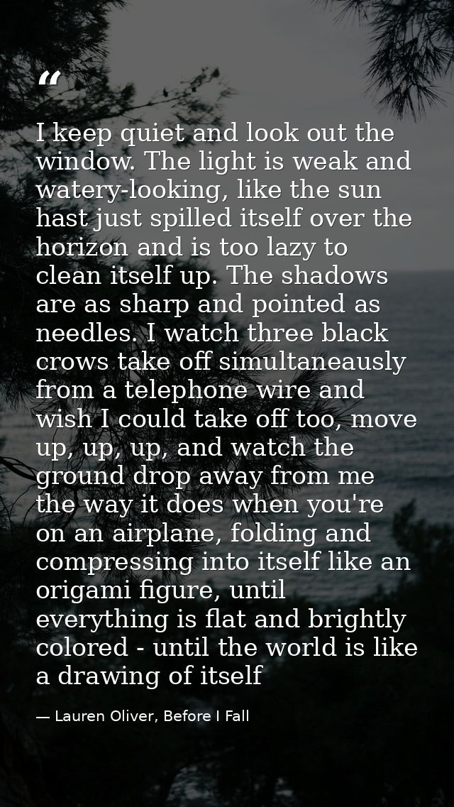 I keep quiet and look out the window. The light is weak and watery-looking, like the sun hast just spilled itself over t — Lauren Oliver, Before I Fall
