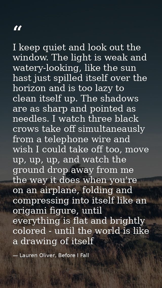 I keep quiet and look out the window. The light is weak and watery-looking, like the sun hast just spilled itself over t — Lauren Oliver, Before I Fall