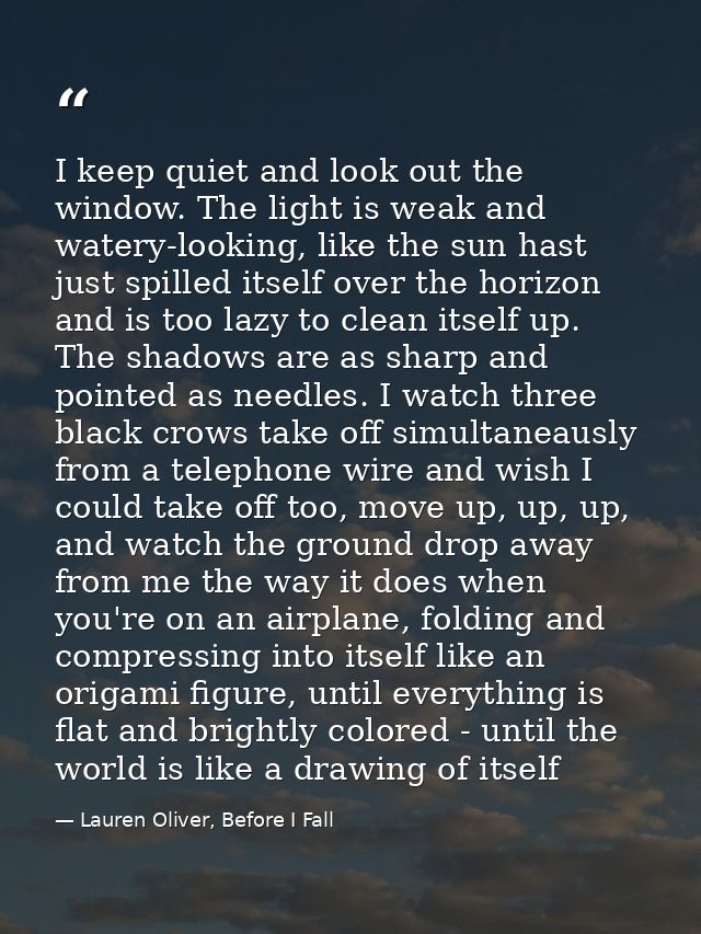 I keep quiet and look out the window. The light is weak and watery-looking, like the sun hast just spilled itself over t — Lauren Oliver, Before I Fall