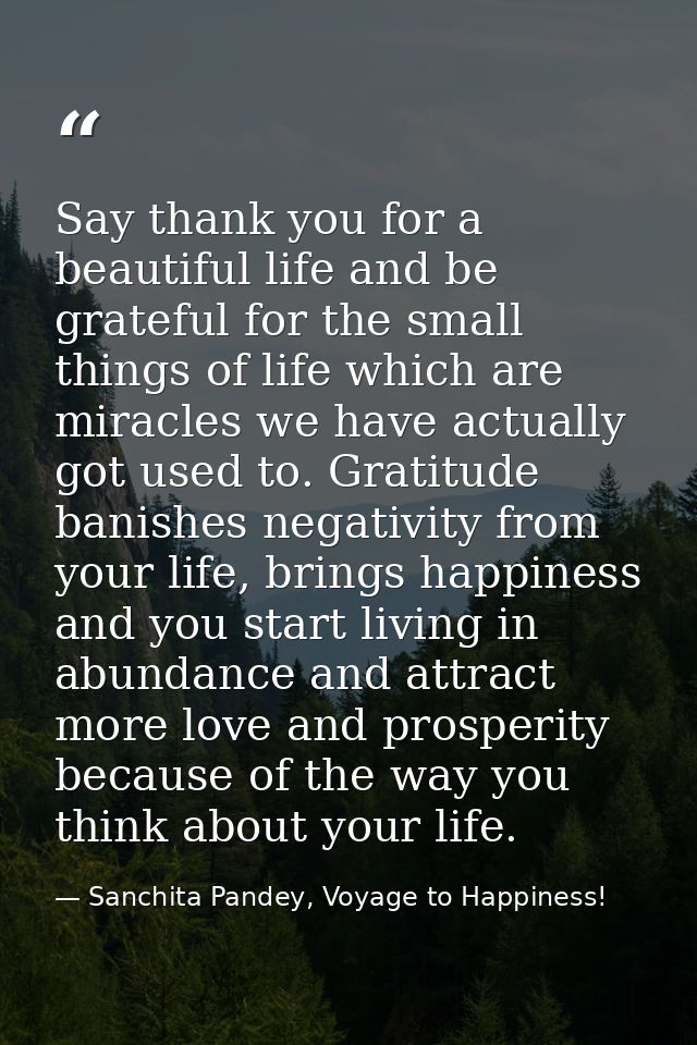 Say thank you for a beautiful life and be grateful for the small things of life which are miracles we have actually got  — Sanchita Pandey, Voyage to Happiness!