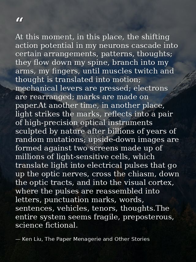 At this moment, in this place, the shifting action potential in my neurons cascade into certain arrangements, patterns,  — Ken Liu, The Paper Menagerie and Other Stories