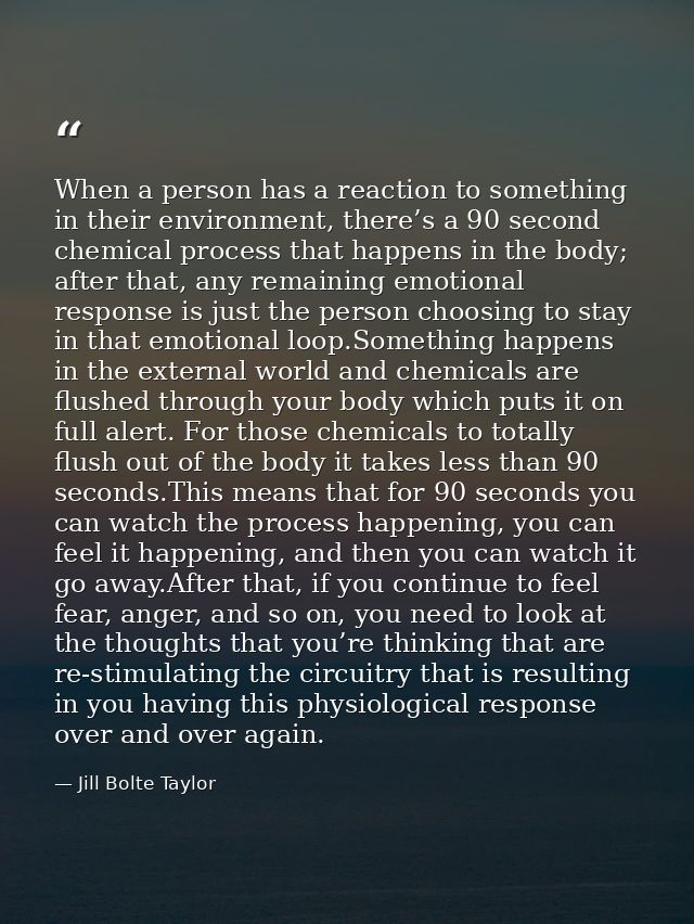 When a person has a reaction to something in their environment, there’s a 90 second chemical process that happens in the — Jill Bolte Taylor