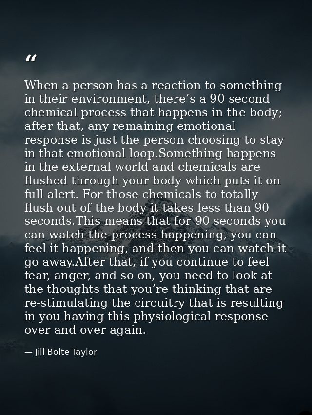 When a person has a reaction to something in their environment, there’s a 90 second chemical process that happens in the — Jill Bolte Taylor