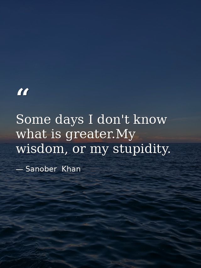 Some days I don't know what is greater.My wisdom, or my stupidity. — Sanober  Khan