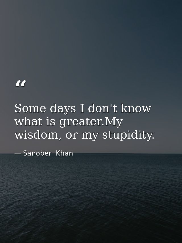 Some days I don't know what is greater.My wisdom, or my stupidity. — Sanober  Khan