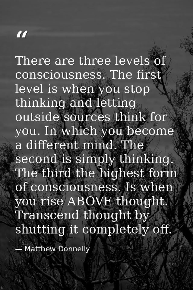 There are three levels of consciousness. The first level is when you stop thinking and letting outside sources think for — Matthew Donnelly