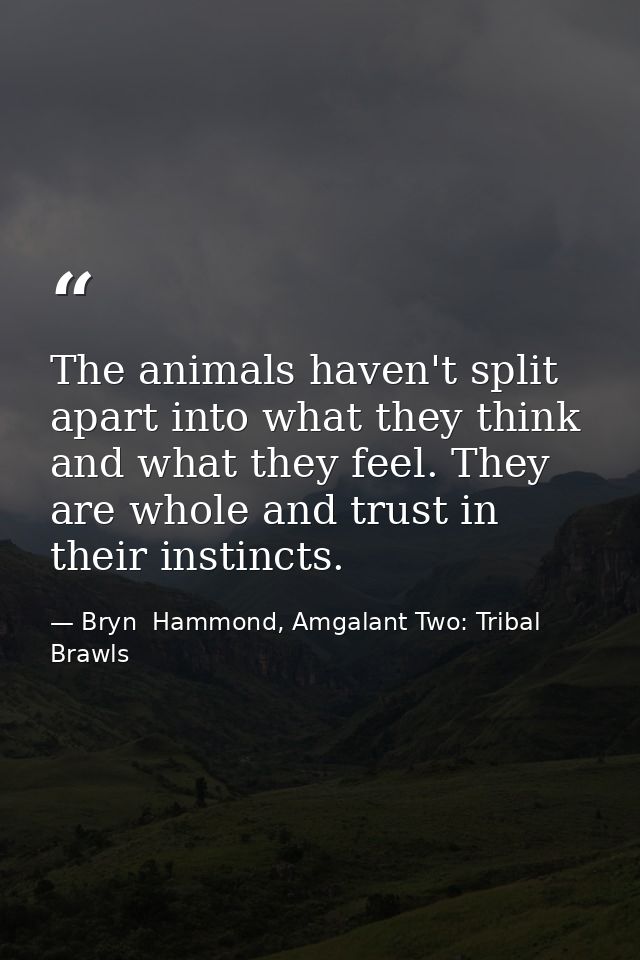 The animals haven't split apart into what they think and what they feel. They are whole and trust in their instincts. — Bryn  Hammond, Amgalant Two: Tribal Brawls