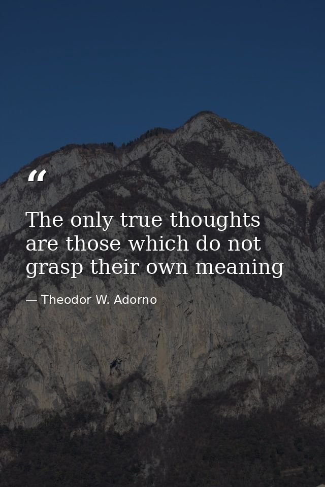 The only true thoughts are those which do not grasp their own meaning — Theodor W. Adorno