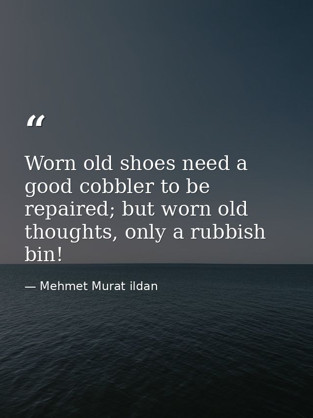 Worn old shoes need a good cobbler to be repaired; but worn old thoughts, only a rubbish bin! — Mehmet Murat ildan