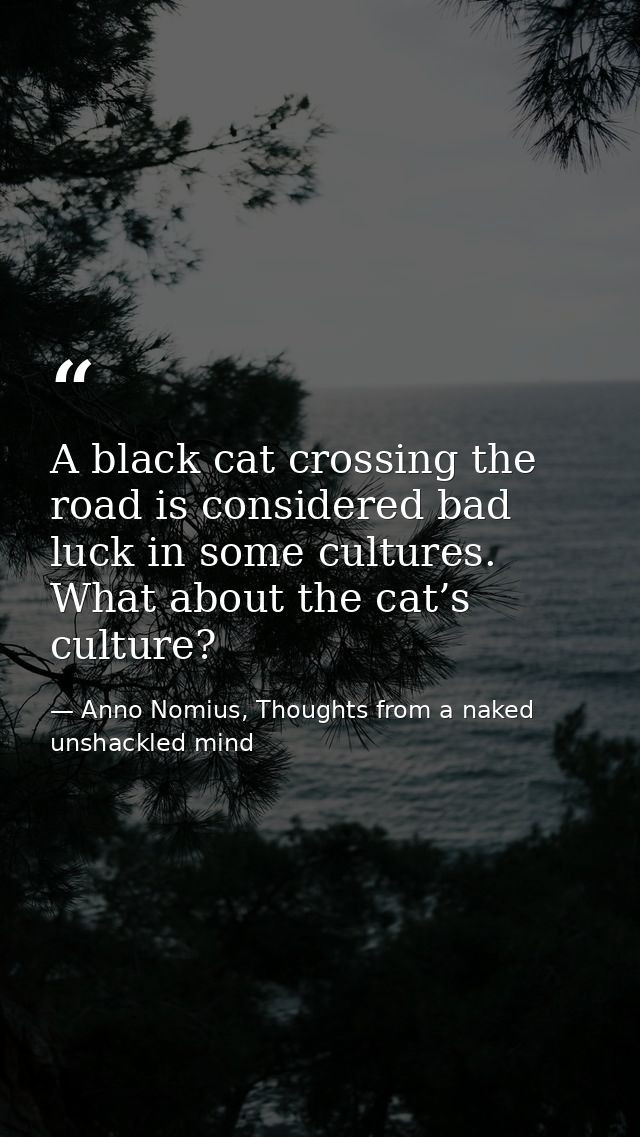 A black cat crossing the road is considered bad luck in some cultures. What about the cat’s culture? — Anno Nomius, Thoughts from a naked unshackled mind
