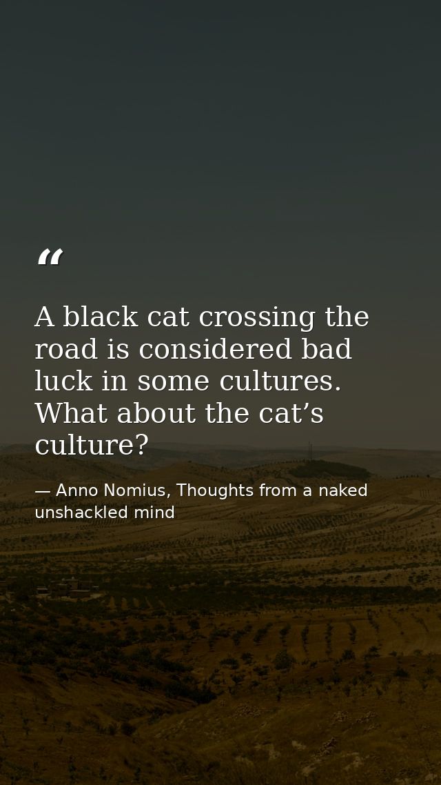 A black cat crossing the road is considered bad luck in some cultures. What about the cat’s culture? — Anno Nomius, Thoughts from a naked unshackled mind