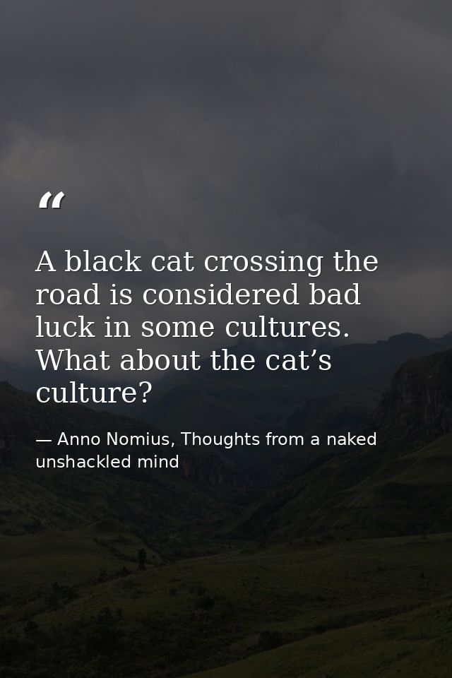 A black cat crossing the road is considered bad luck in some cultures. What about the cat’s culture? — Anno Nomius, Thoughts from a naked unshackled mind