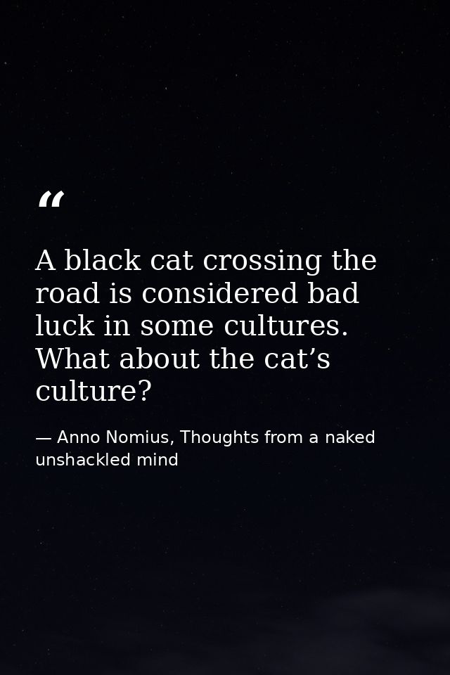 A black cat crossing the road is considered bad luck in some cultures. What about the cat’s culture? — Anno Nomius, Thoughts from a naked unshackled mind