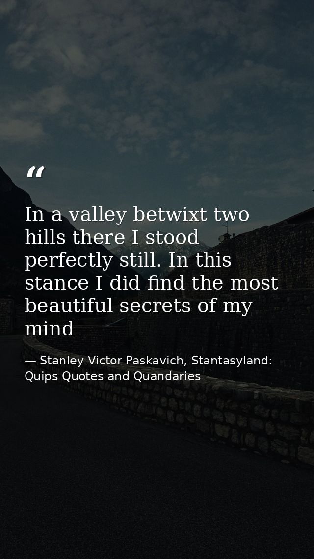 In a valley betwixt two hills there I stood perfectly still. In this stance I did find the most beautiful secrets of my  — Stanley Victor Paskavich, Stantasyland: Quips Quotes and Quandaries