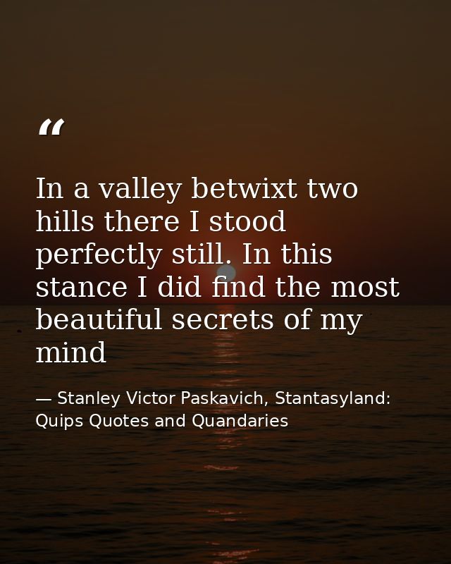 In a valley betwixt two hills there I stood perfectly still. In this stance I did find the most beautiful secrets of my  — Stanley Victor Paskavich, Stantasyland: Quips Quotes and Quandaries