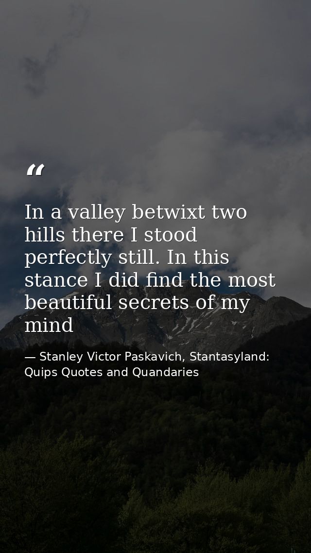 In a valley betwixt two hills there I stood perfectly still. In this stance I did find the most beautiful secrets of my  — Stanley Victor Paskavich, Stantasyland: Quips Quotes and Quandaries