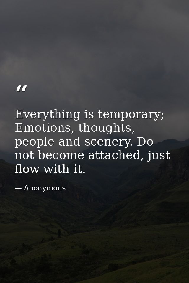 Everything is temporary; Emotions, thoughts, people and scenery. Do not become attached, just flow with it. — Anonymous