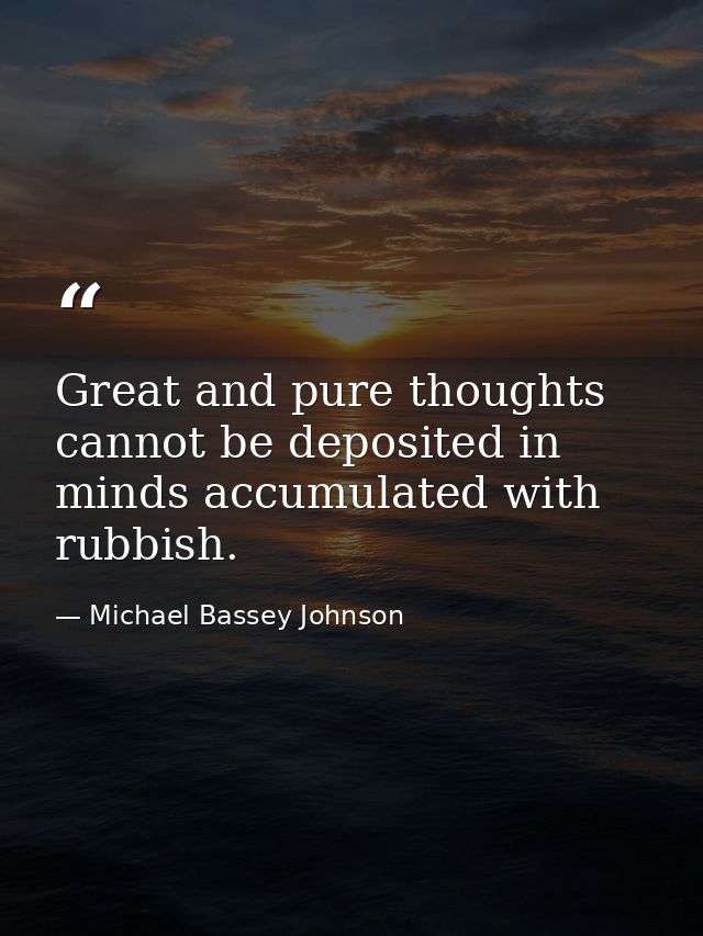 Great and pure thoughts cannot be deposited in minds accumulated with rubbish. — Michael Bassey Johnson