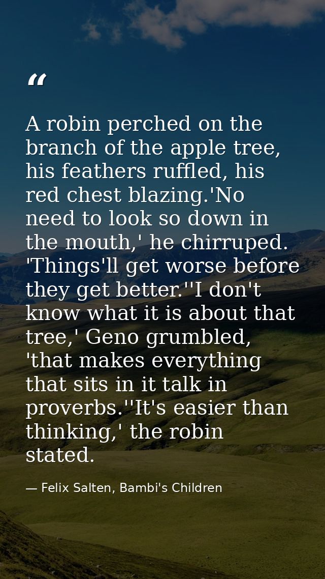 A robin perched on the branch of the apple tree, his feathers ruffled, his red chest blazing.'No need to look so down in — Felix Salten, Bambi's Children