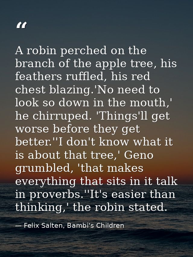 A robin perched on the branch of the apple tree, his feathers ruffled, his red chest blazing.'No need to look so down in — Felix Salten, Bambi's Children