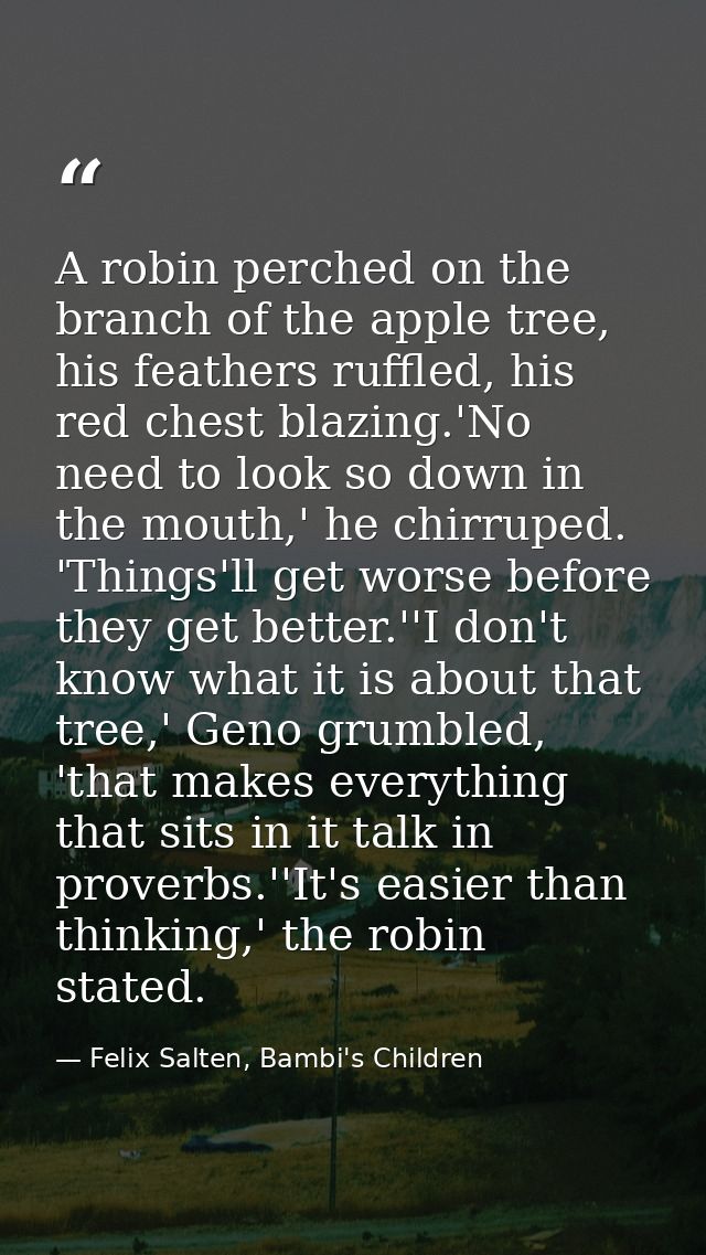 A robin perched on the branch of the apple tree, his feathers ruffled, his red chest blazing.'No need to look so down in — Felix Salten, Bambi's Children