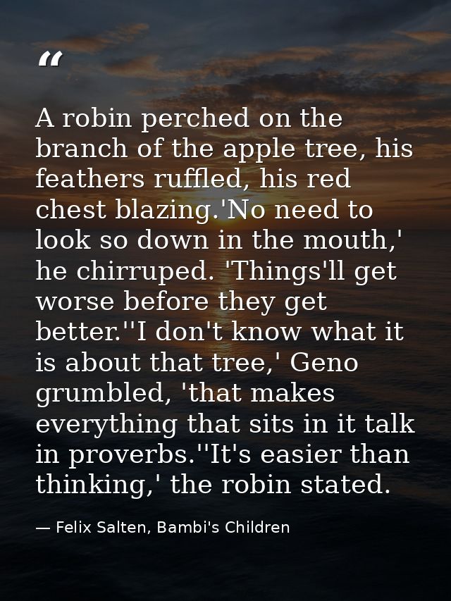A robin perched on the branch of the apple tree, his feathers ruffled, his red chest blazing.'No need to look so down in — Felix Salten, Bambi's Children