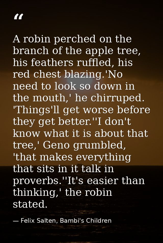 A robin perched on the branch of the apple tree, his feathers ruffled, his red chest blazing.'No need to look so down in — Felix Salten, Bambi's Children