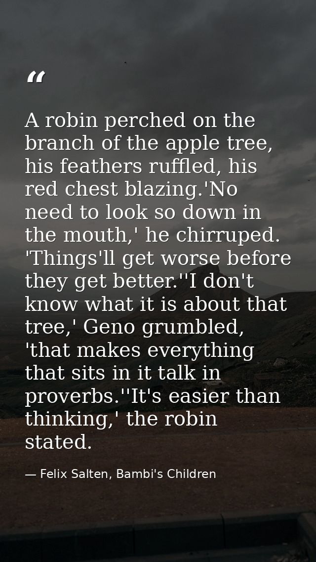 A robin perched on the branch of the apple tree, his feathers ruffled, his red chest blazing.'No need to look so down in — Felix Salten, Bambi's Children