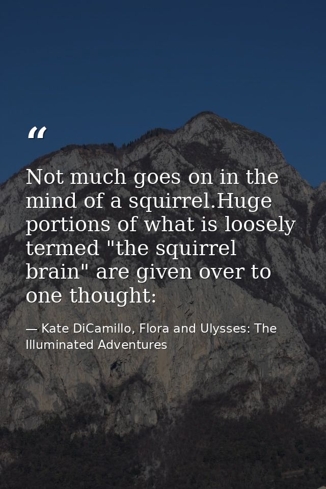 Not much goes on in the mind of a squirrel.Huge portions of what is loosely termed "the squirrel brain" are given over t — Kate DiCamillo, Flora and Ulysses: The Illuminated Adventures
