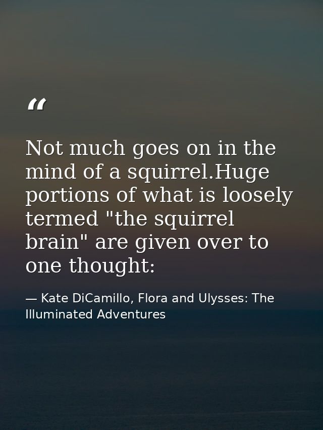 Not much goes on in the mind of a squirrel.Huge portions of what is loosely termed "the squirrel brain" are given over t — Kate DiCamillo, Flora and Ulysses: The Illuminated Adventures