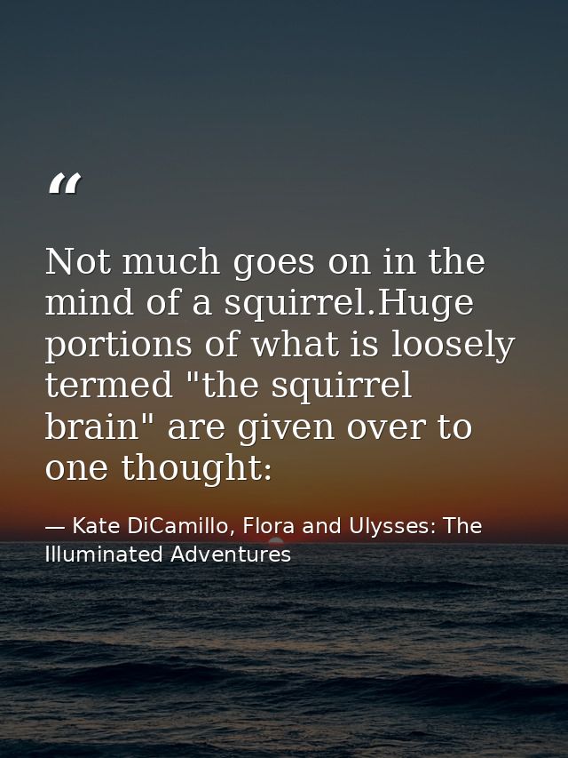 Not much goes on in the mind of a squirrel.Huge portions of what is loosely termed "the squirrel brain" are given over t — Kate DiCamillo, Flora and Ulysses: The Illuminated Adventures