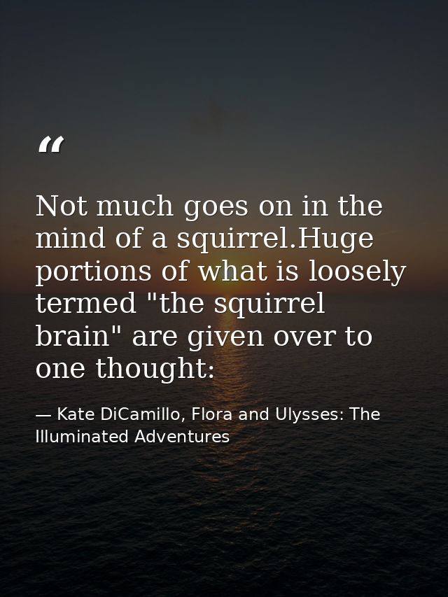Not much goes on in the mind of a squirrel.Huge portions of what is loosely termed "the squirrel brain" are given over t — Kate DiCamillo, Flora and Ulysses: The Illuminated Adventures