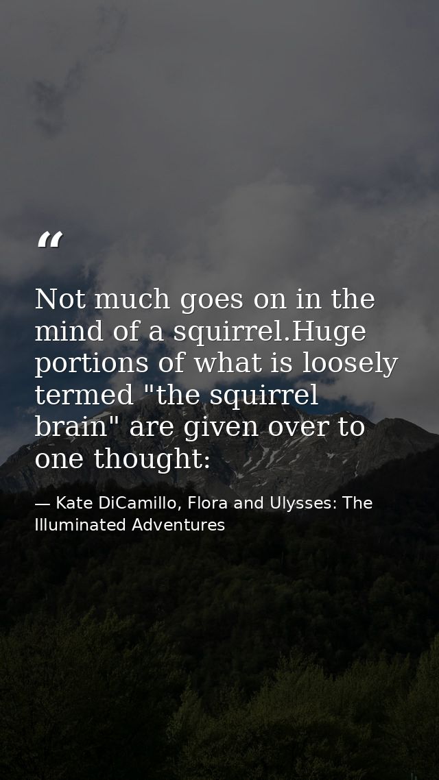 Not much goes on in the mind of a squirrel.Huge portions of what is loosely termed "the squirrel brain" are given over t — Kate DiCamillo, Flora and Ulysses: The Illuminated Adventures