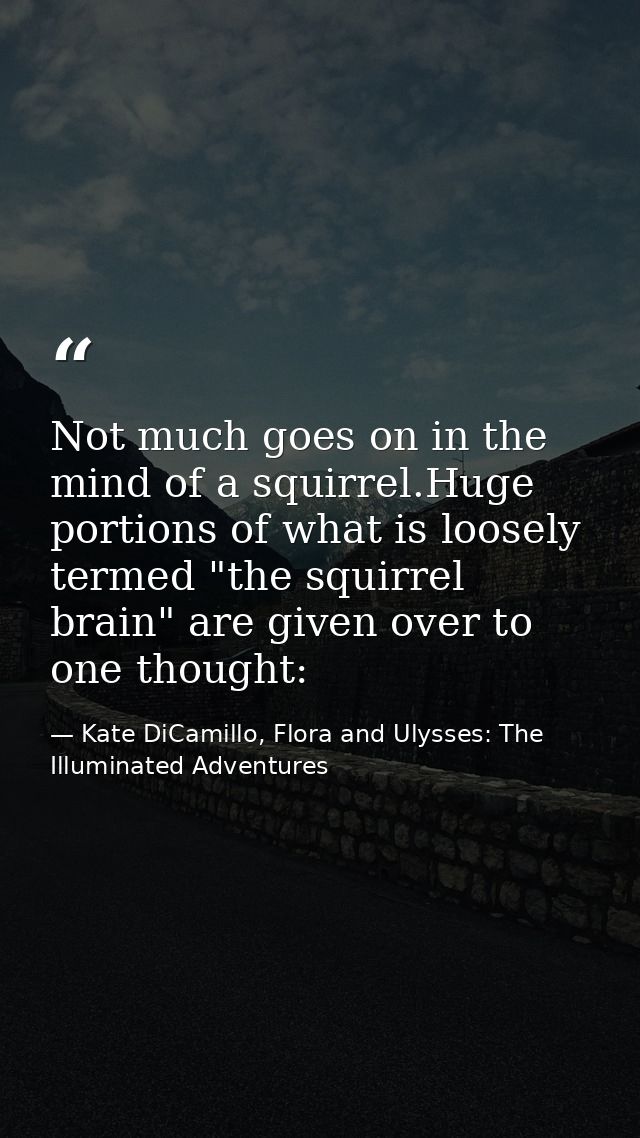Not much goes on in the mind of a squirrel.Huge portions of what is loosely termed "the squirrel brain" are given over t — Kate DiCamillo, Flora and Ulysses: The Illuminated Adventures