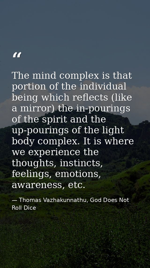 The mind complex is that portion of the individual being which reflects (like a mirror) the in-pourings of the spirit an — Thomas Vazhakunnathu, God Does Not Roll Dice