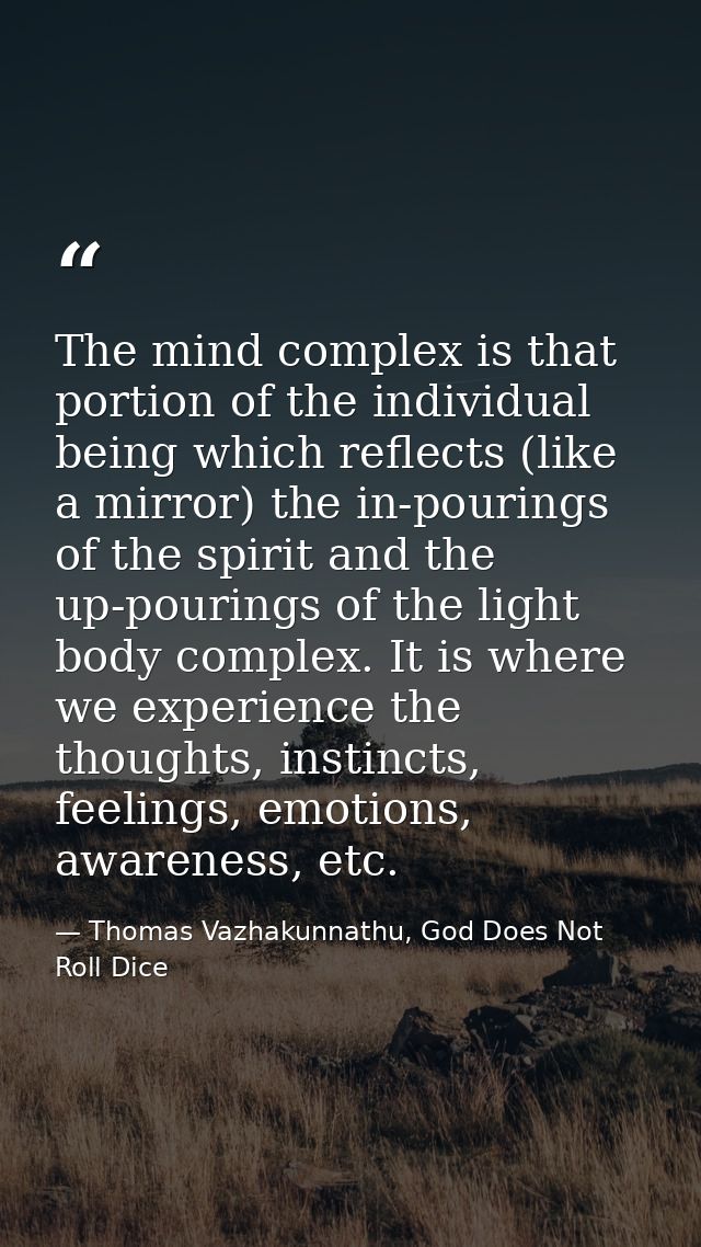 The mind complex is that portion of the individual being which reflects (like a mirror) the in-pourings of the spirit an — Thomas Vazhakunnathu, God Does Not Roll Dice
