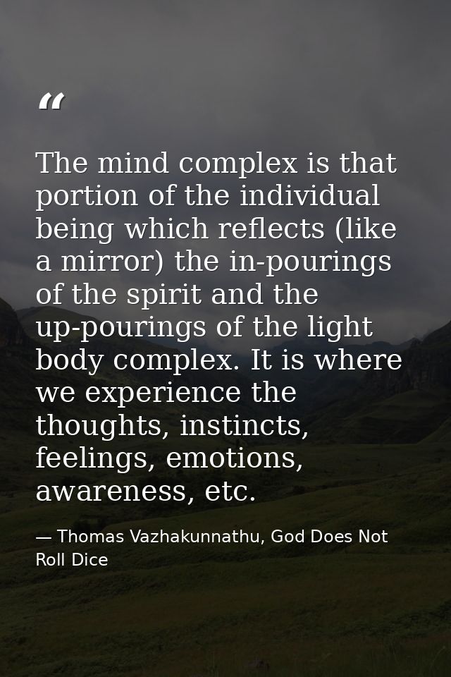 The mind complex is that portion of the individual being which reflects (like a mirror) the in-pourings of the spirit an — Thomas Vazhakunnathu, God Does Not Roll Dice