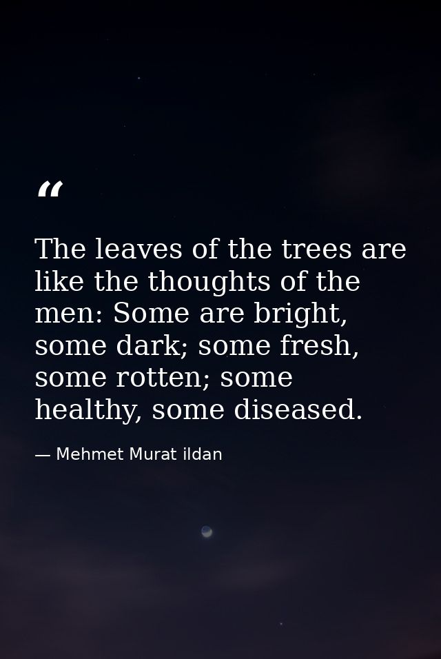 The leaves of the trees are like the thoughts of the men: Some are bright, some dark; some fresh, some rotten; some heal — Mehmet Murat ildan