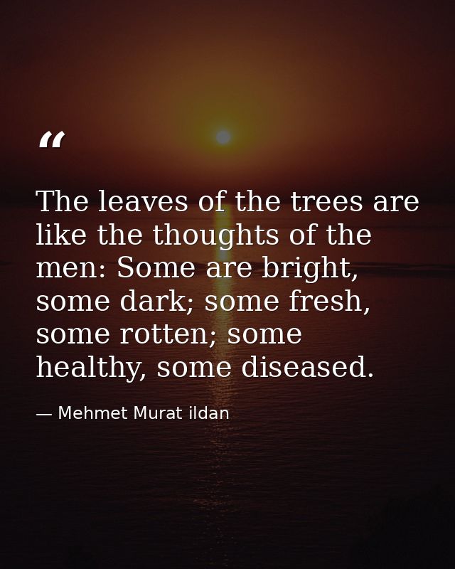 The leaves of the trees are like the thoughts of the men: Some are bright, some dark; some fresh, some rotten; some heal — Mehmet Murat ildan
