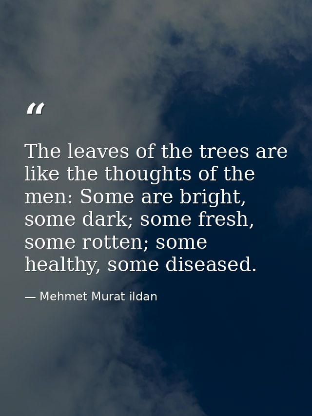 The leaves of the trees are like the thoughts of the men: Some are bright, some dark; some fresh, some rotten; some heal — Mehmet Murat ildan
