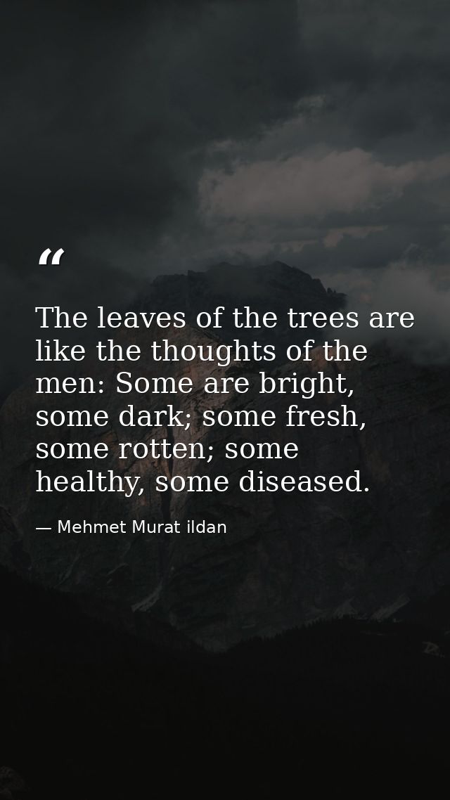 The leaves of the trees are like the thoughts of the men: Some are bright, some dark; some fresh, some rotten; some heal — Mehmet Murat ildan
